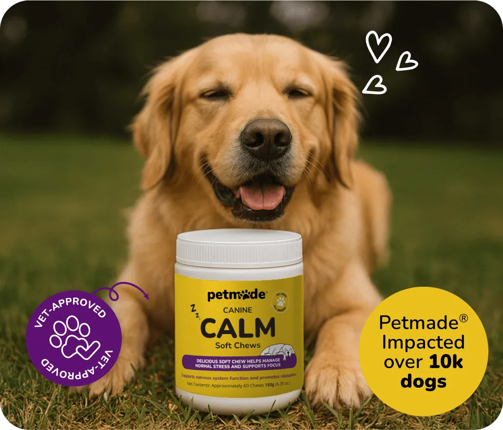 Golden Retriever with PetMade® Calm Soft Chews jar on grass