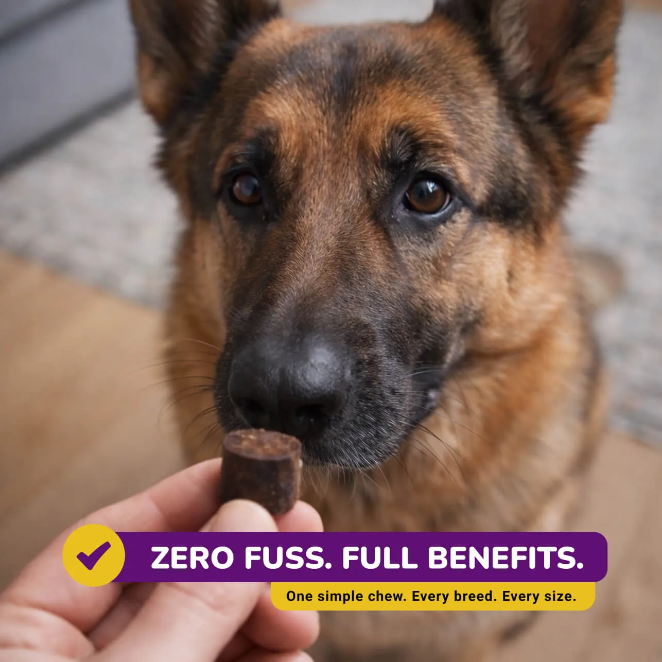 Feeding guide for PetMade® Calm Soft Chews supplement