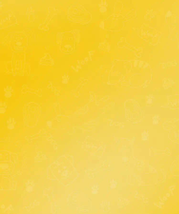 Pet bg