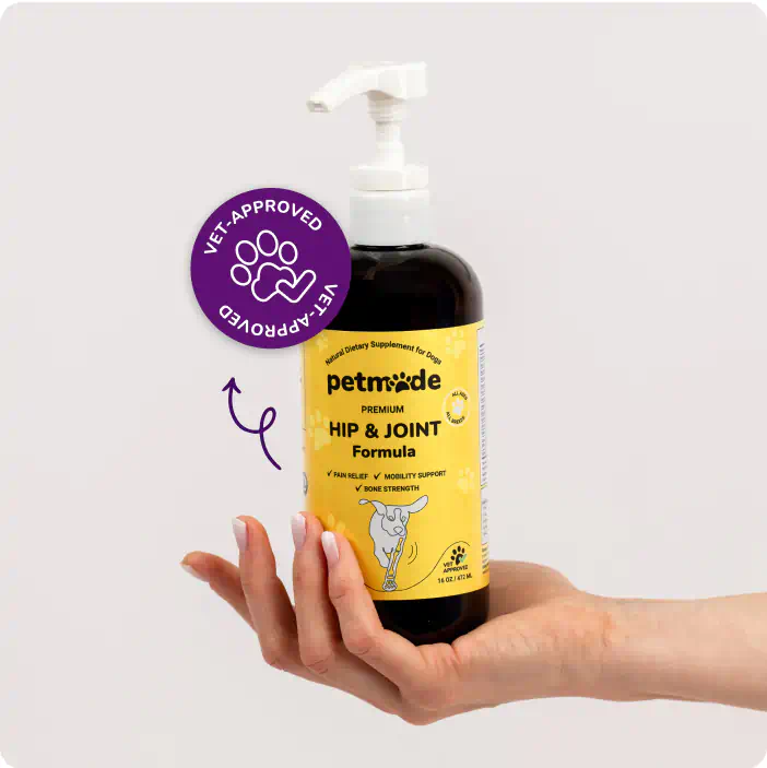 A hand holding a bottle of PetMade Hip & Joint Formula, a hip and joint supplement for dogs