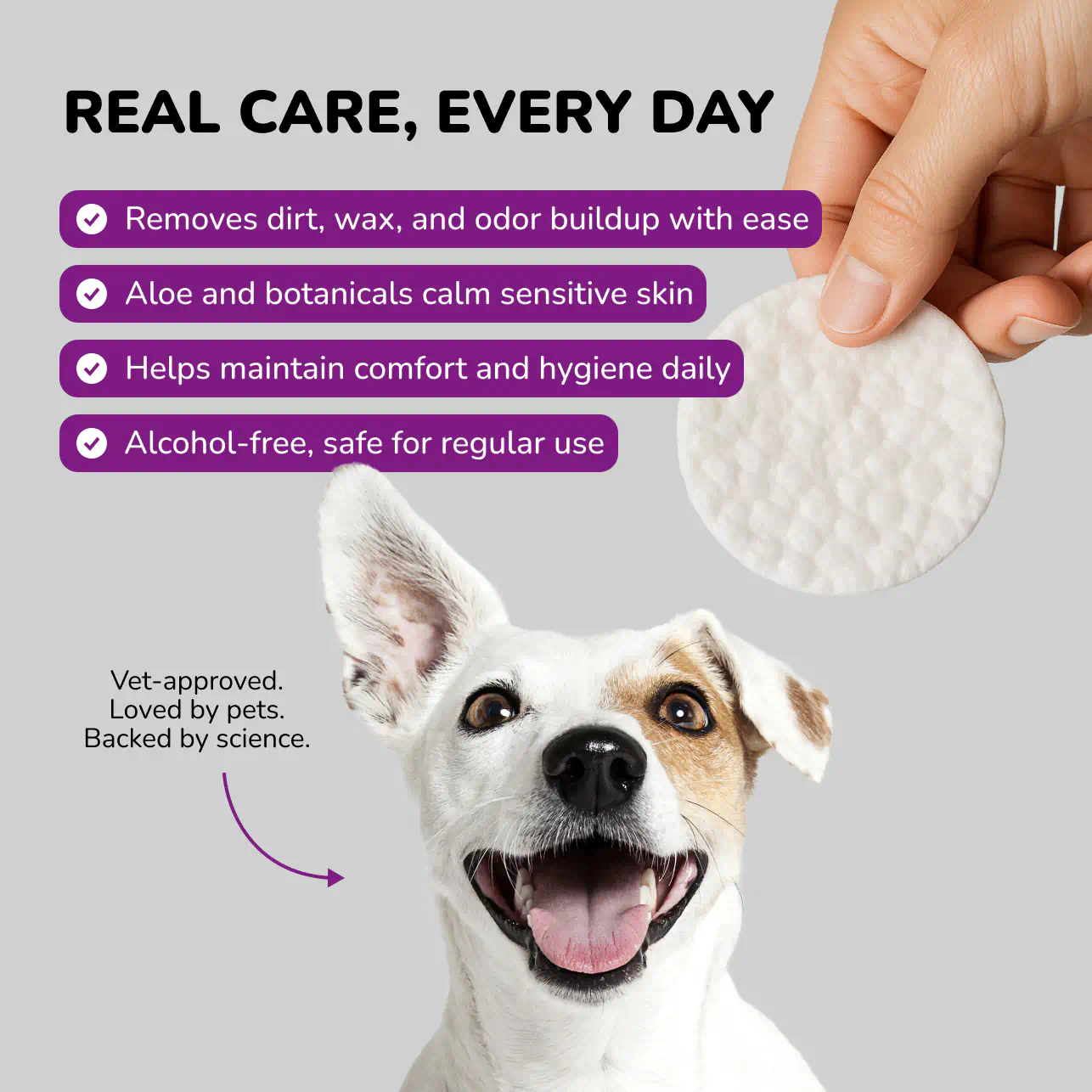 Ear wipes for dogs key benefits