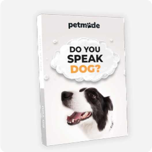 Do You Speak Dog?