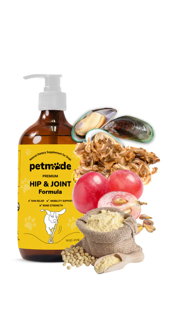 A bottle of PetMade Premium Hip & Joint Formula for dogs with ingredients displayed around it