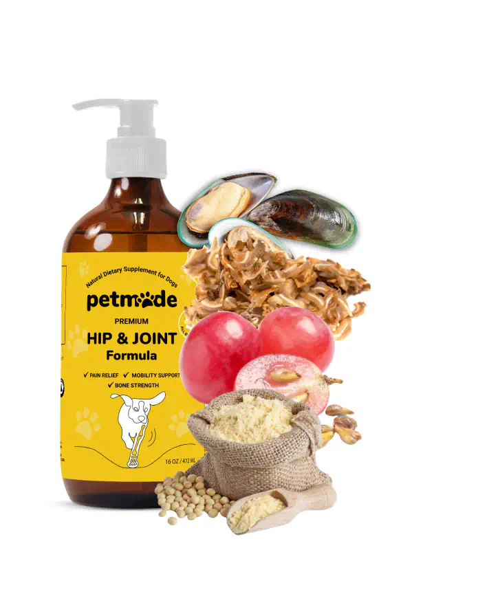 A bottle of PetMade Premium Hip & Joint Formula for dogs with ingredients displayed around it