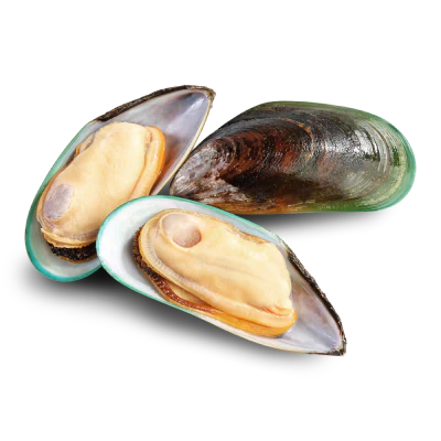 Green-lipped mussels, one closed and two opened