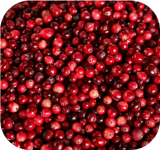Close-up of pomegranate seeds for antioxidant and cellular protection