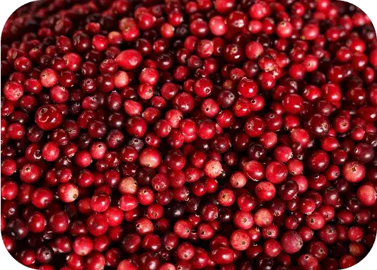 Close-up of pomegranate seeds for antioxidant and cellular protection