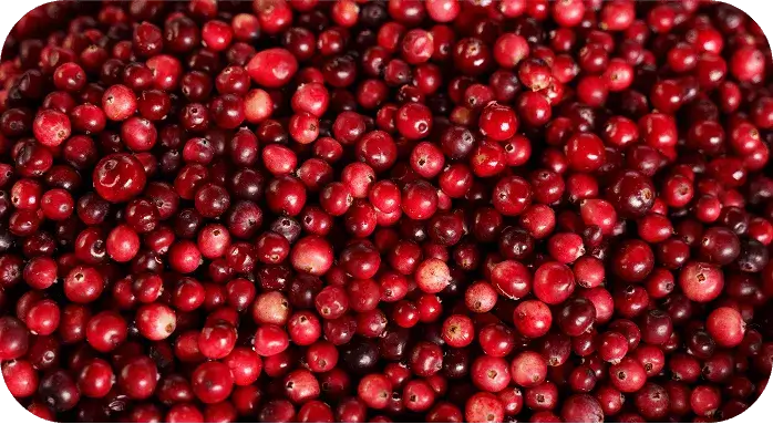 Close-up of pomegranate seeds for antioxidant and cellular protection