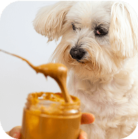 Dog enjoying natural peanut butter with added supplement
