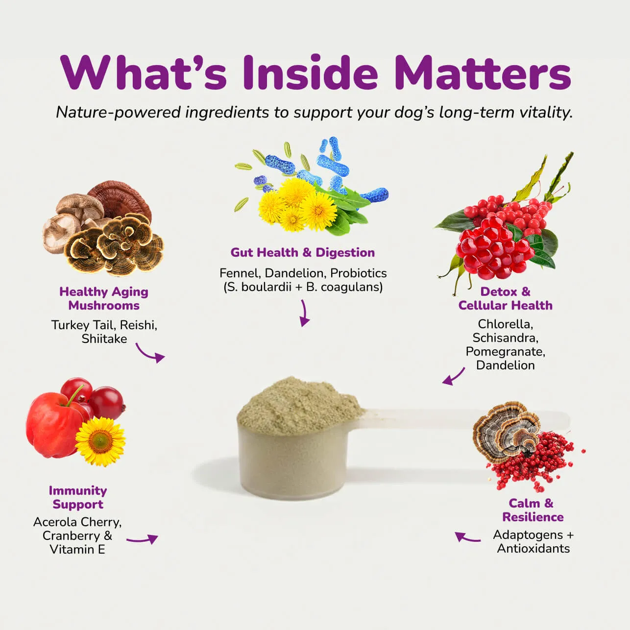 An infographic with images and descriptions of various blends for pet health