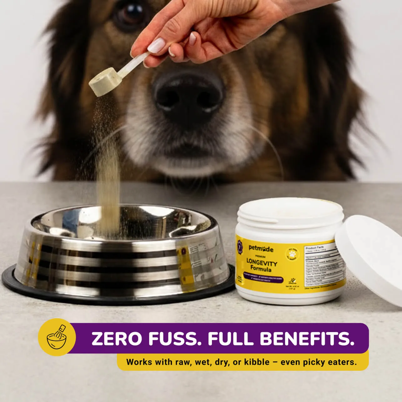 Golden Retriever holding a Longevity Formula supplement jar in its mouth.