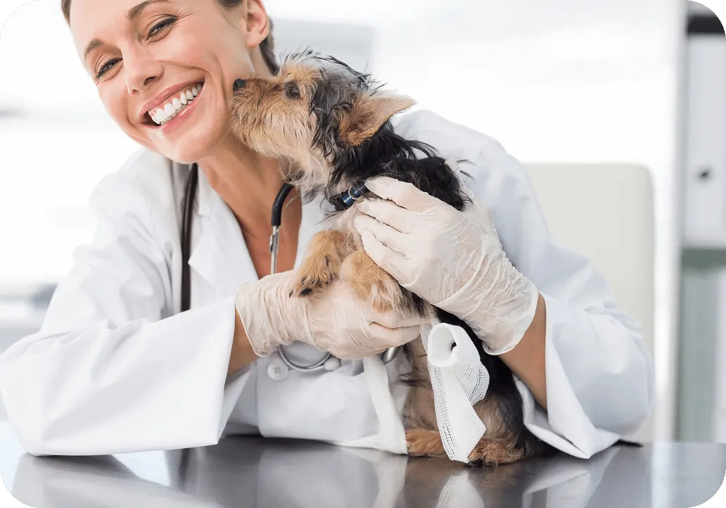 A happy dog and a VET