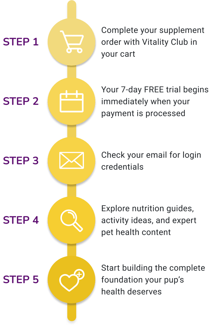 steps