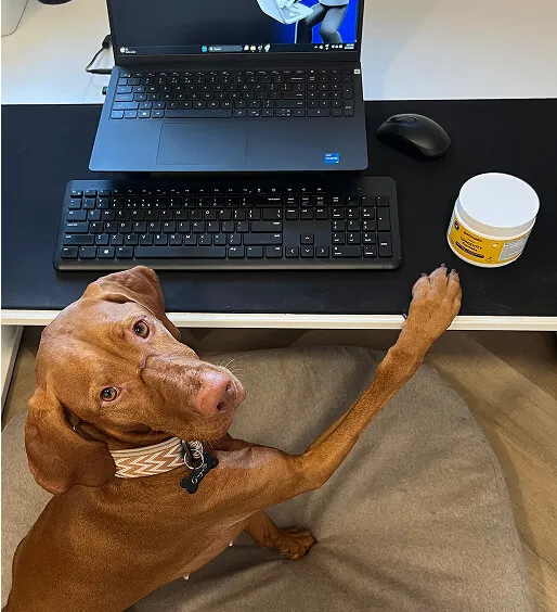 Helper